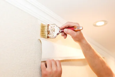 Pose de papier peint à Rontalon — revêtements muraux et toiles de verre